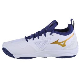 Buty Mizuno Wave Momentum 3 M V1GA231243 40,5