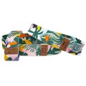 Zestaw gum treningowych Spokey Home Jungle SPK-941536 N/A