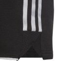 Spodenki adidas Tiro 23 League Sweat Jr HS3595 128 cm