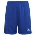 Spodenki adidas Entrada 22 Short Y Jr HG6291 116 cm