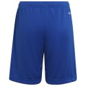 Spodenki adidas Entrada 22 Short Y Jr HG6291 116 cm