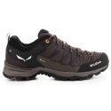 Buty trekkingowe Salewa Mtn Trainer Lite GTX M 61361-7512 EU 40,5