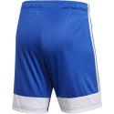 Spodenki adidas Tastigo 19 Shorts Jr DP3682 152cm