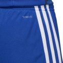 Spodenki adidas Tastigo 19 Shorts Jr DP3682 152cm