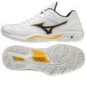 Buty do piłki ręcznej Mizuno Wave Stealth V M X1GA180013 40