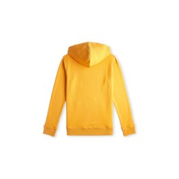 Bluza O'Neill Logo Hoodie Jr 92800615006 140