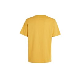 Koszulka O'Neill Future Surf Society T-Shirt M 92800613523 M