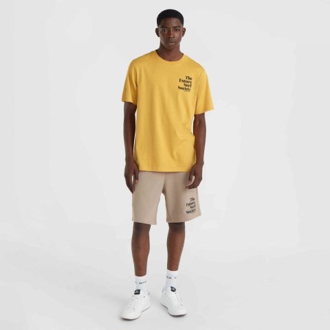 Koszulka O'Neill Future Surf Society T-Shirt M 92800613523 L