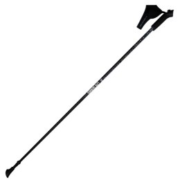 Kije Nordic Walking Viking 650/21/4563/08 120 cm