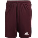 Spodenki adidas Squadra 21 Short M GN8083 M