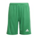 Spodenki adidas Squadra 21 Short Y Jr GN5762 116 cm