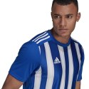 Koszulka adidas Striped 21 JSY M GH7321 XXL