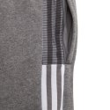 Spodenki adidas Tiro 21 Sweat Short Jr GP8806 116 cm