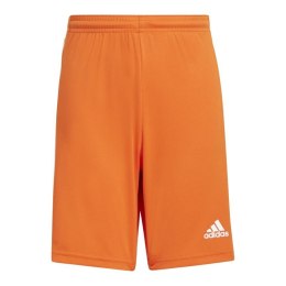 Spodenki adidas Squadra 21 Jr GN8082 116