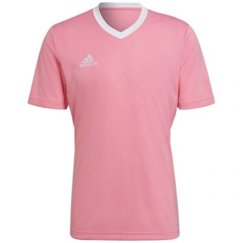 Koszulka adidas Entrada 22 Jersey M HC5072 XL