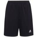 Spodenki adidas Entrada 22 Training Short Y Jr H57498 140 cm