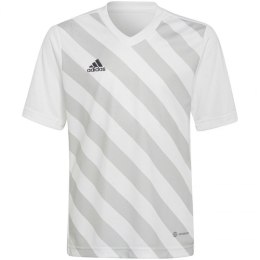 Koszulka adidas Entrada 22 Graphic Jersey Jr HF0120 116 cm