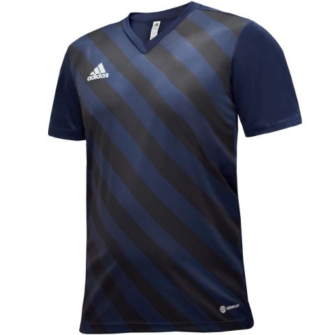 Koszulka adidas Entrada 22 Graphic Jersey M HF0131 M