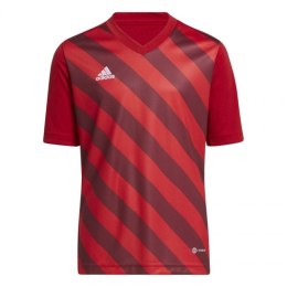 Koszulka adidas Entrada 22 Graphic Jersey Jr H58983 116 cm