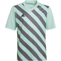 Koszulka adidas Entrada 22 Graphic Jersey Jr HF0127 116 cm