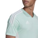 Koszulka adidas Condivo 22 M HD2271 L (183cm)