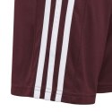 Spodenki adidas Squadra 21 Short Jr GN8081 116cm