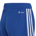 Spodenki adidas Tiro 23 League Jr IB8094 128cm