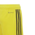 Spodenki adidas Tiro 23 League Jr IB8095 116cm