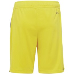 Spodenki adidas Tiro 23 League Jr IB8095 128cm