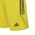 Spodenki adidas Tiro 23 League Jr IB8095 128cm