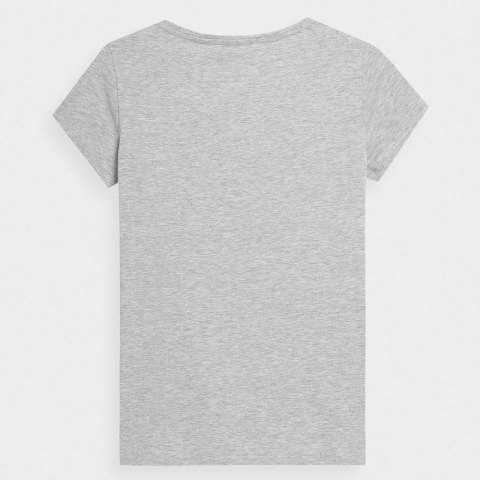 Koszulka 4F W 4FSS23TTSHF583 27M M