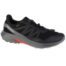 Buty do biegania Salomon Hypulse Gtx M 415959 41 1/3