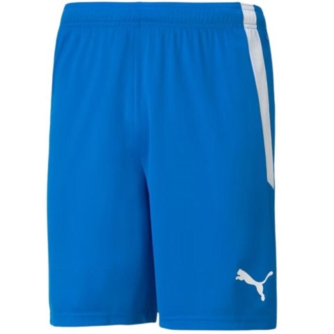 Spodenki Puma teamLIGA M 704924 02 L