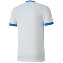 Koszulka Puma teamGOAL 23 Jersey M 704171 12 2XL