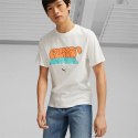 Koszulka Puma Graffiti Tee M 622513 02 XXL