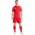 Spodenki adidas Tiro 24 Competition Training M IK2245 2XL