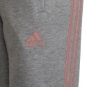 Spodnie adidas 3-Stripes Tapered Leg Jr HD4362 164cm