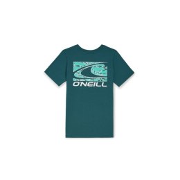 Koszulka O'Neill Jack T-Shirt Jr 92800613615 140