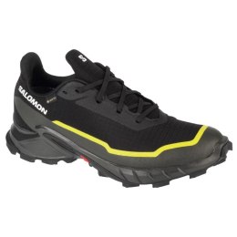 Buty Salomon Alphacross 5 GTX M 474604 42 2/3