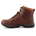 Buty Ariat Berwick GTX W 10016298