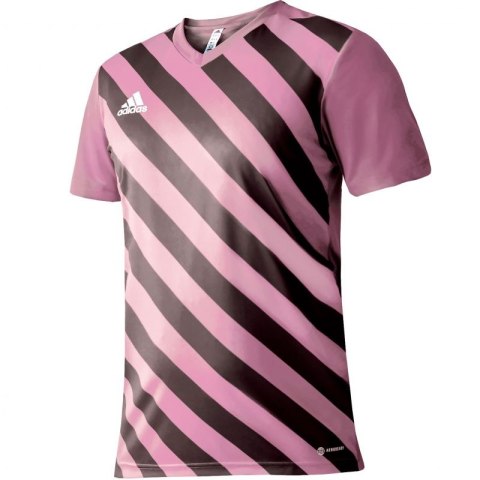 Koszulka adidas Entrada 22 Graphic Jersey M HC2633 2 XL