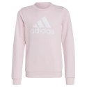 Bluza adidas Big Logo Swt Jr IC6119 152 cm