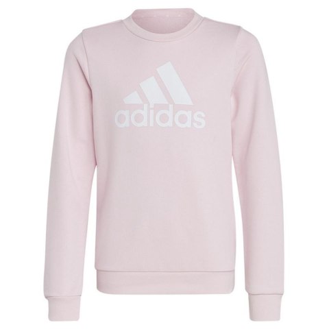 Bluza adidas Big Logo Swt Jr IC6119 152 cm