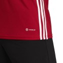 Koszulka adidas Tabela 23 Jersey M HT6552 XS